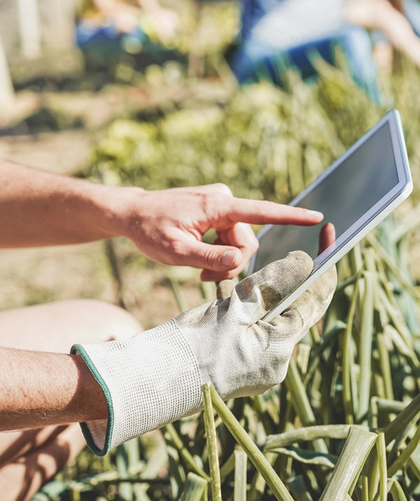 business IT procurement